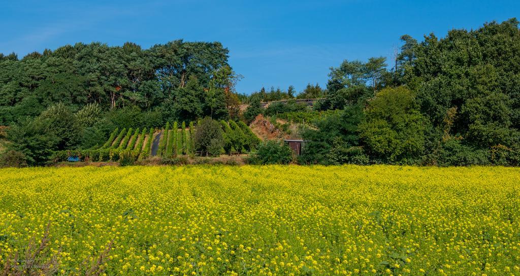 B&B Silentium Tielt 외부 사진